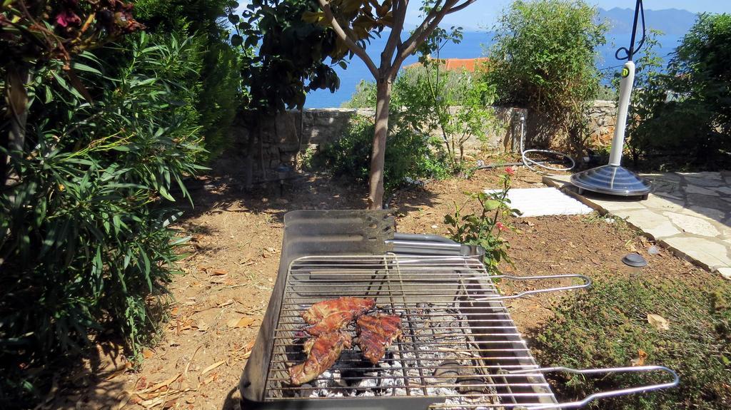 Villa Irini エピダウロス エクステリア 写真